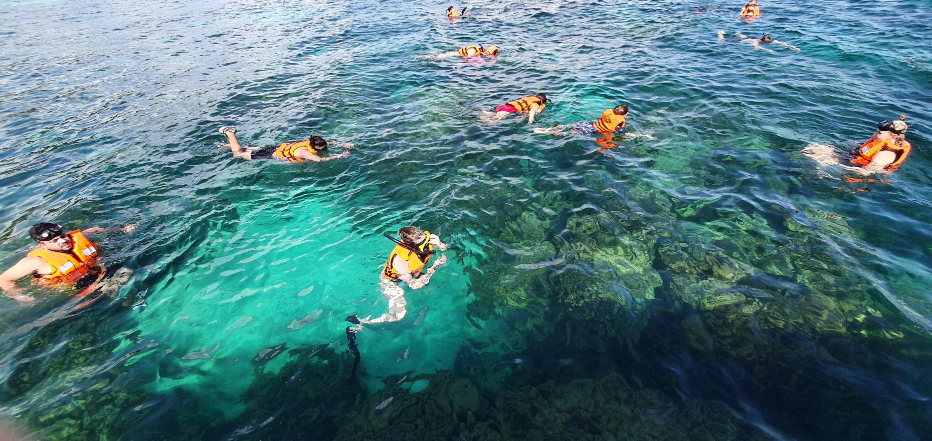 Phi Phi Island (Island Dream)
