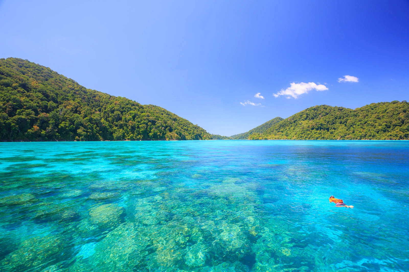 Racha + Coral – Private Power Catamaran (SAWANU)